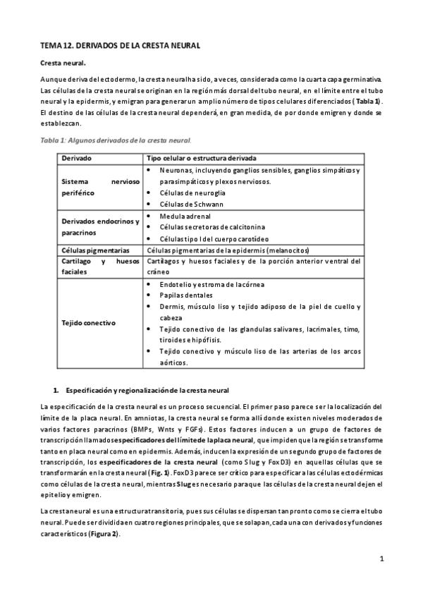 Miniatura del documento TEORÍA TEMA 12. DERIVADOS DE LA CRESTA NEURAL.pdf