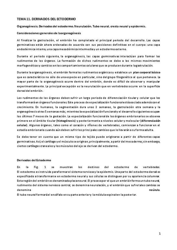 Miniatura del documento TEORÍA TEMA 11. DERIVADOS DEL ECTODERMO.pdf
