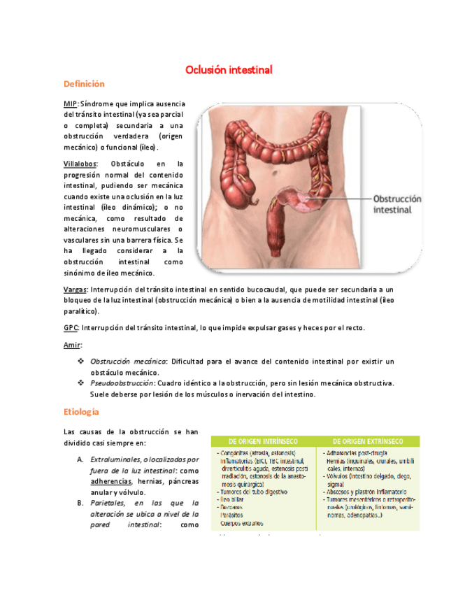 Miniatura del documento 14 Oclusión intestinal.pdf