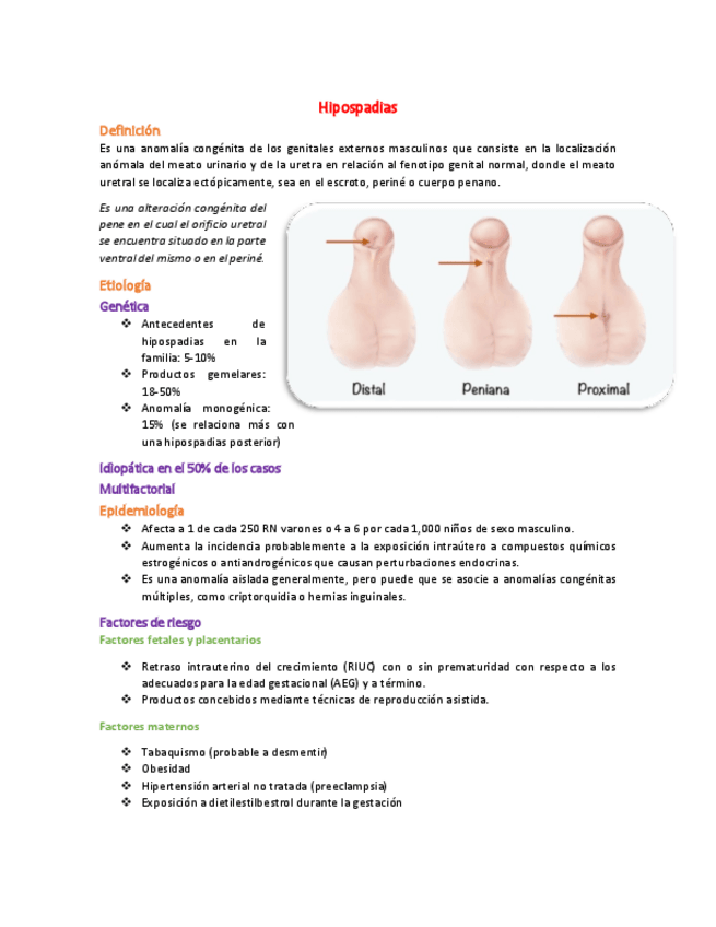 Miniatura del documento 35 Hipospadias.pdf