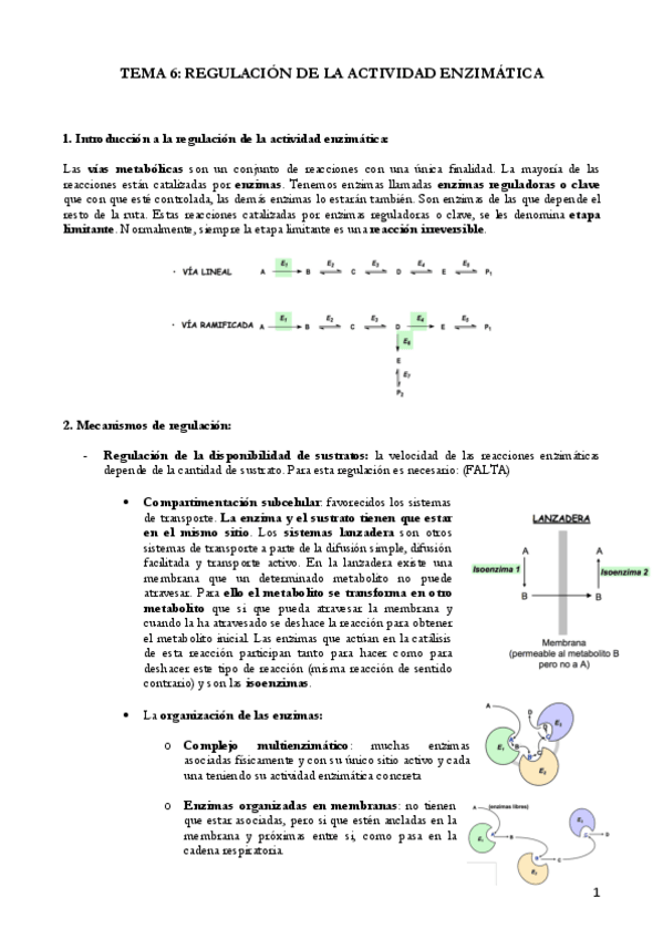 Miniatura del documento TEMA 6 REGULACIÓN DE LA ACTIVIDAD ENZIMÁTICA (6).pdf
