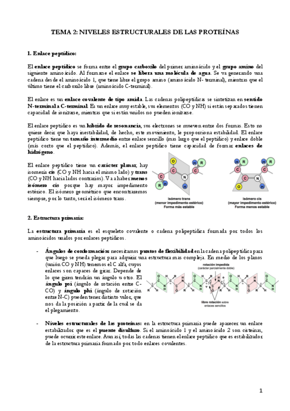 Miniatura del documento TEMA 2 PROTEINAS (5).pdf