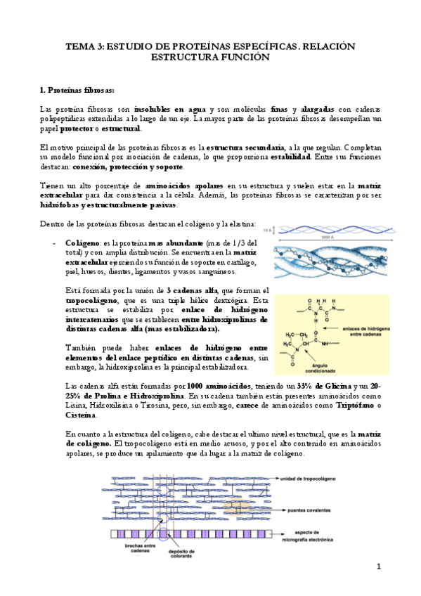 Miniatura del documento TEMA 3 HEMOGLOBINA (9).pdf