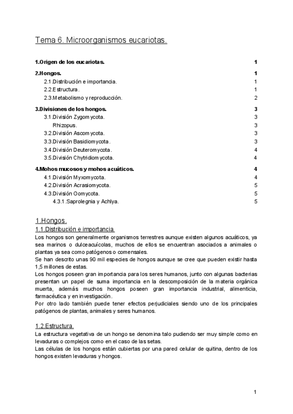 Miniatura del documento Tema 06.pdf