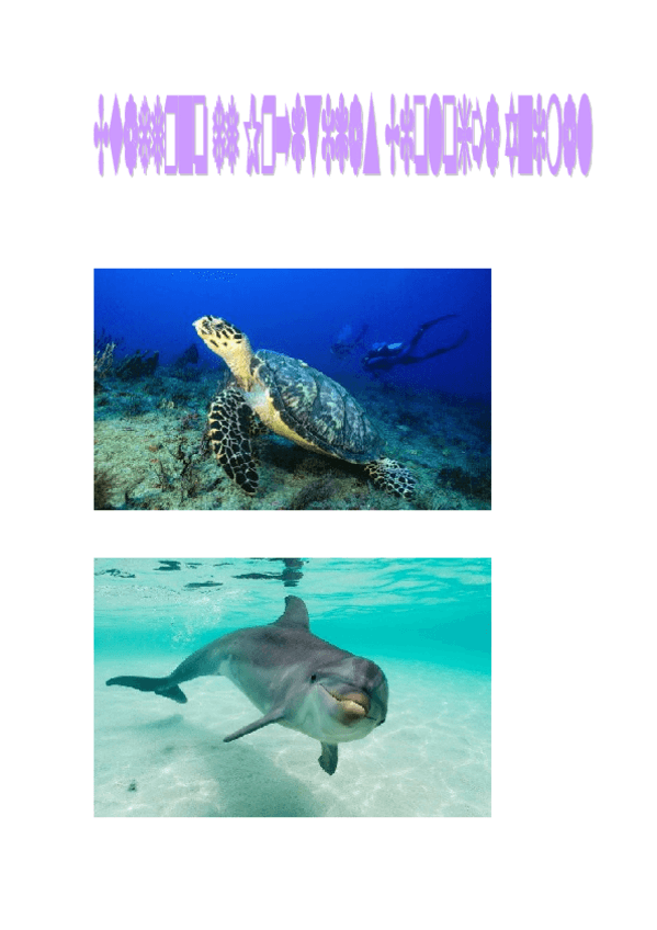 Miniatura del documento Cuaderno de prácticas de Biología Animal.doc