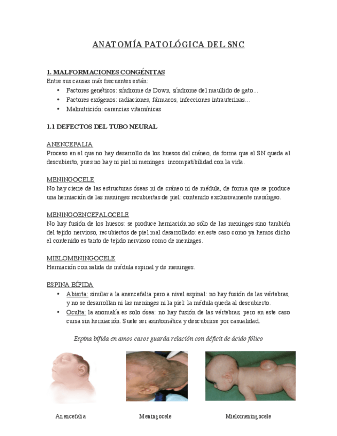 Miniatura del documento ANATOMÍA PATOLÓGICA DEL SNC.pdf