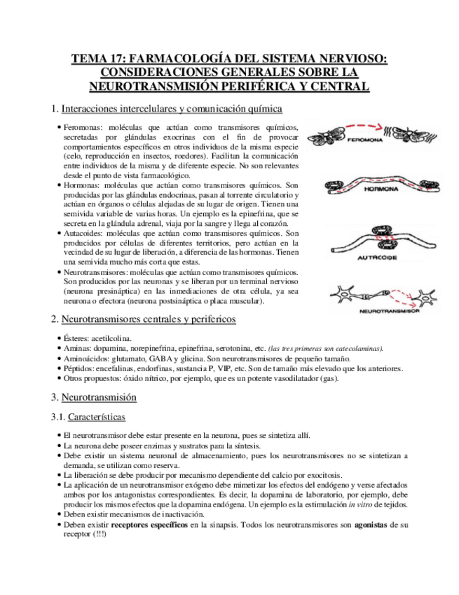 Miniatura del documento Tema 17 - Farmacología del sistema nervioso.pdf