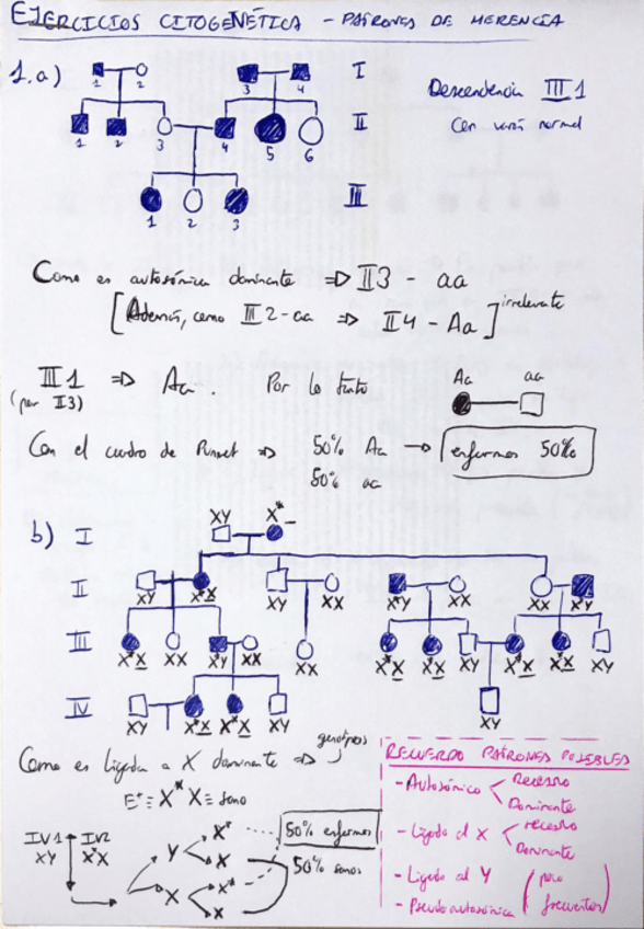 Miniatura del documento EJERCICIOS CITOGENÉTICA -  PATRONES DE HERENCIA 1-10.pdf