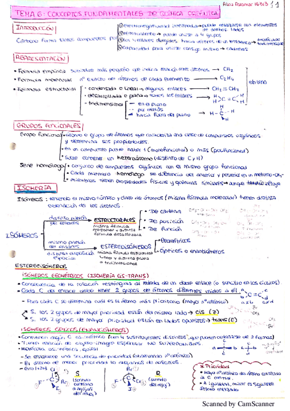 Miniatura del documento RESÚMENES QUÍMICA ORGÁNICA (Temas 6-9).pdf