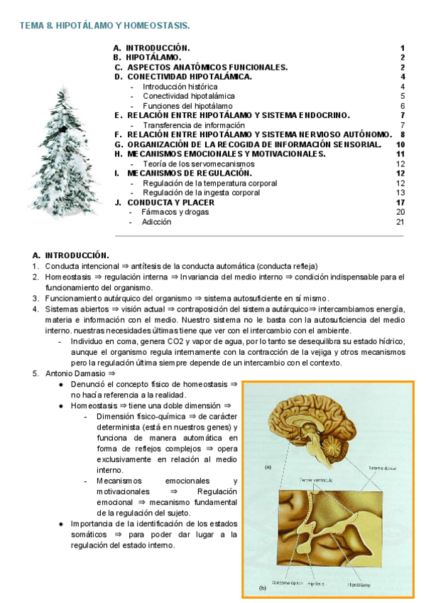 Miniatura del documento TEMA 8. HIPOTÁLAMO Y HOMEOSTASIS..pdf
