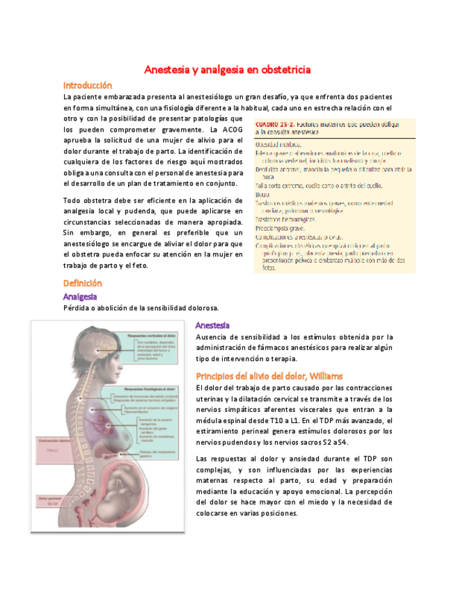 Miniatura del documento 13 Anestesia y analgesia en obstetricia.pdf