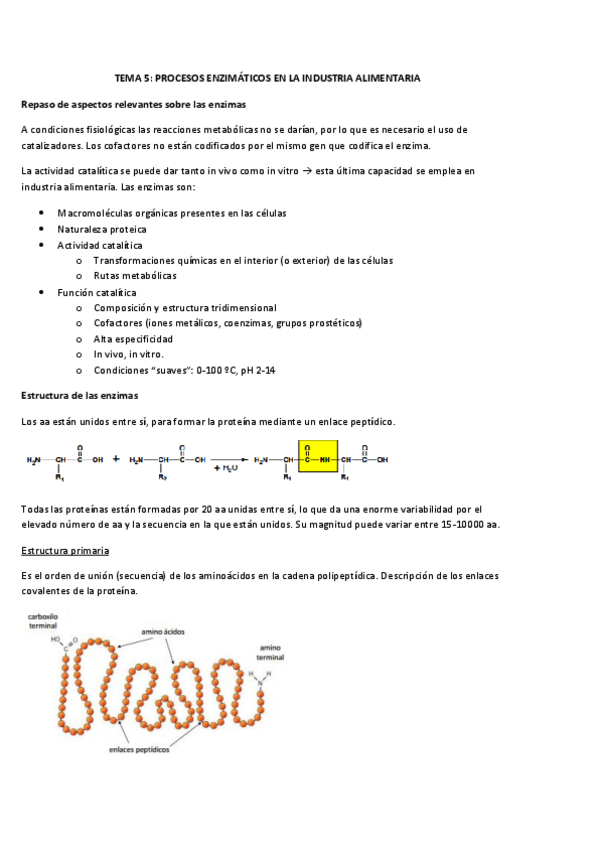 Miniatura del documento TEMA 5 (1).pdf