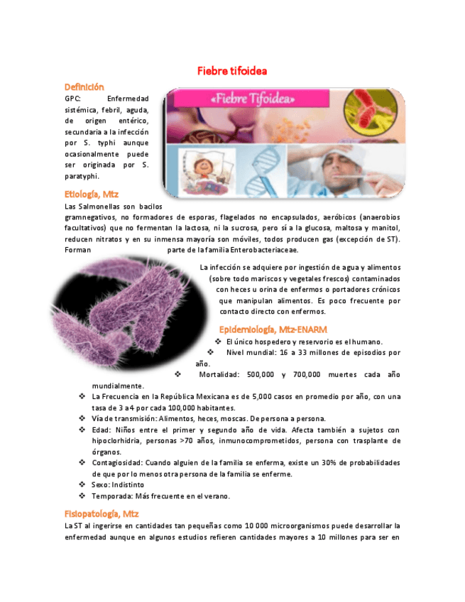 Miniatura del documento 17 - Fiebre tifoidea FIEBRES ENTERALES.pdf