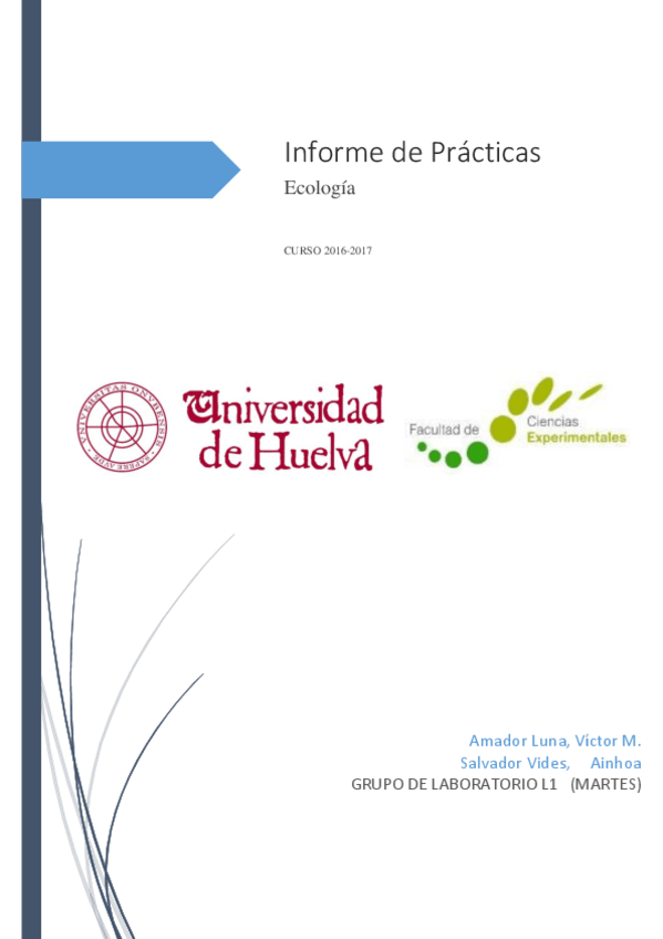 Miniatura del documento Práctica 1 - Amador y Salvador.pdf