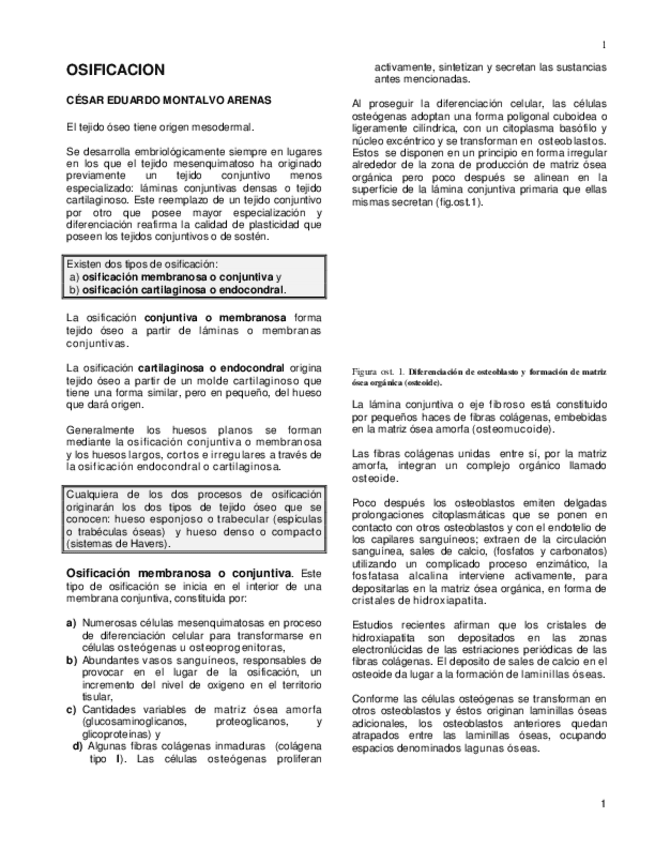 Miniatura del documento OSIFICACION.pdf