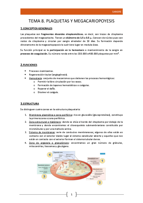 Miniatura del documento 8.Plaquetas y Megacariopoyesis.pdf