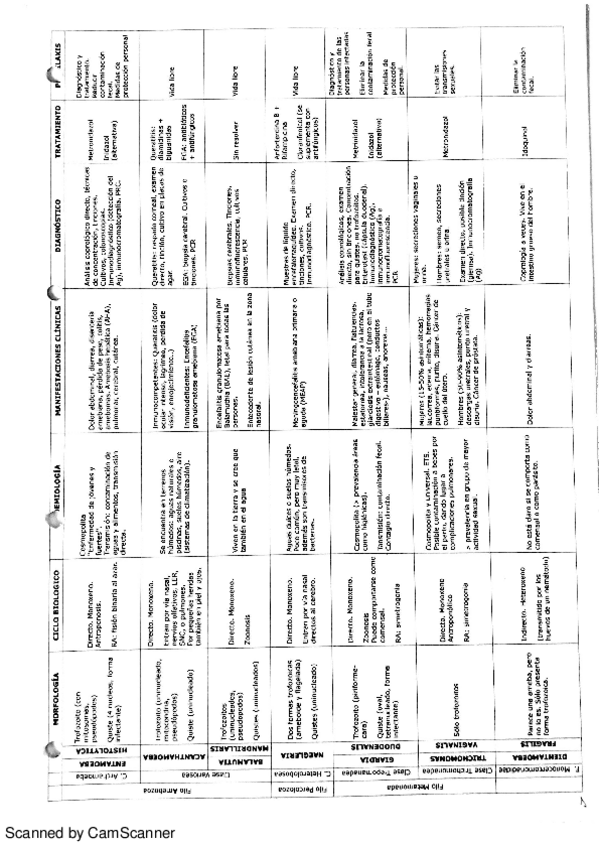 Miniatura del documento RESÚMENES-ESQUEMAS-PREGUNTAS-FRECUENTES.pdf