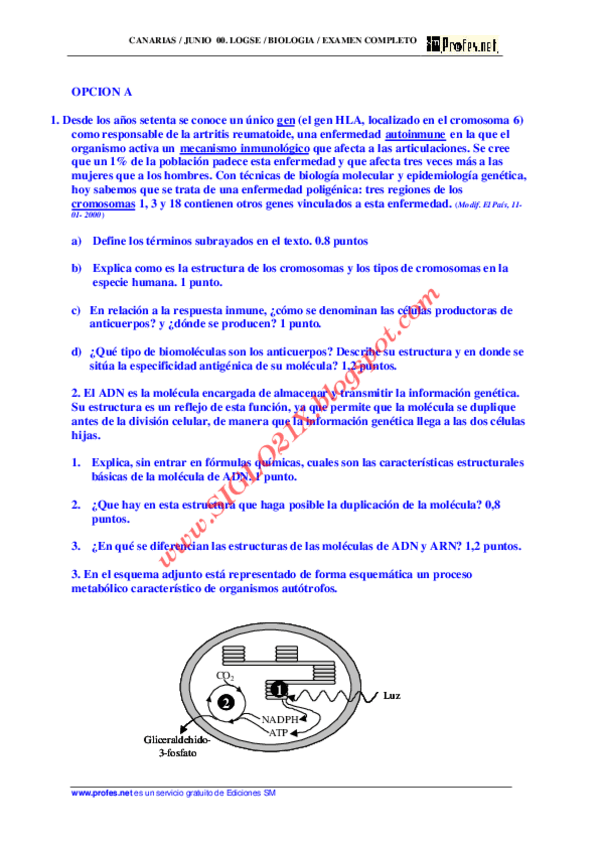Miniatura del documento 65918786-Biologia-Selectividad-Examen-Resuelto-Canarias-6-Www-siglo21x-blogspot.pdf