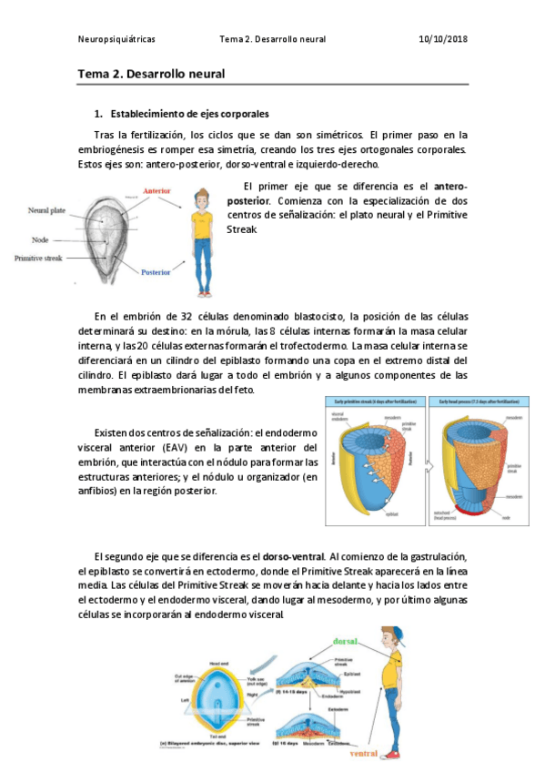 Miniatura del documento Tema 2.pdf