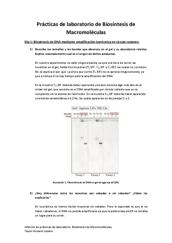 Miniatura del documento Informe de prácticas.pdf