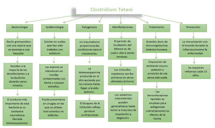 Miniatura del documento Clostridium.jpg