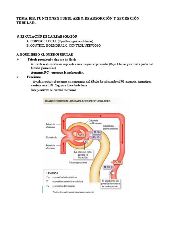 Miniatura del documento T10B. Funciones tubulares.pdf