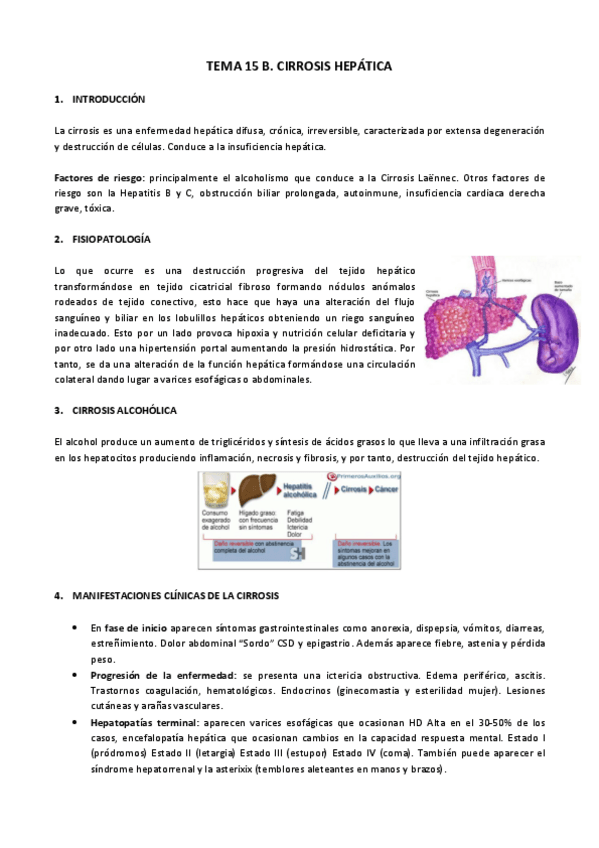 Miniatura del documento Tema 15 b. Cirrosis hepática.pdf