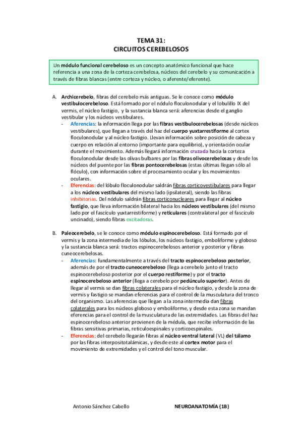 Miniatura del documento (31) Circuitos cerebelosos.pdf