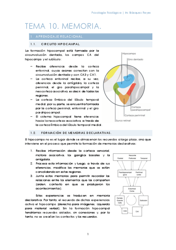 Miniatura del documento TEMA 10. MEMORIA.pdf