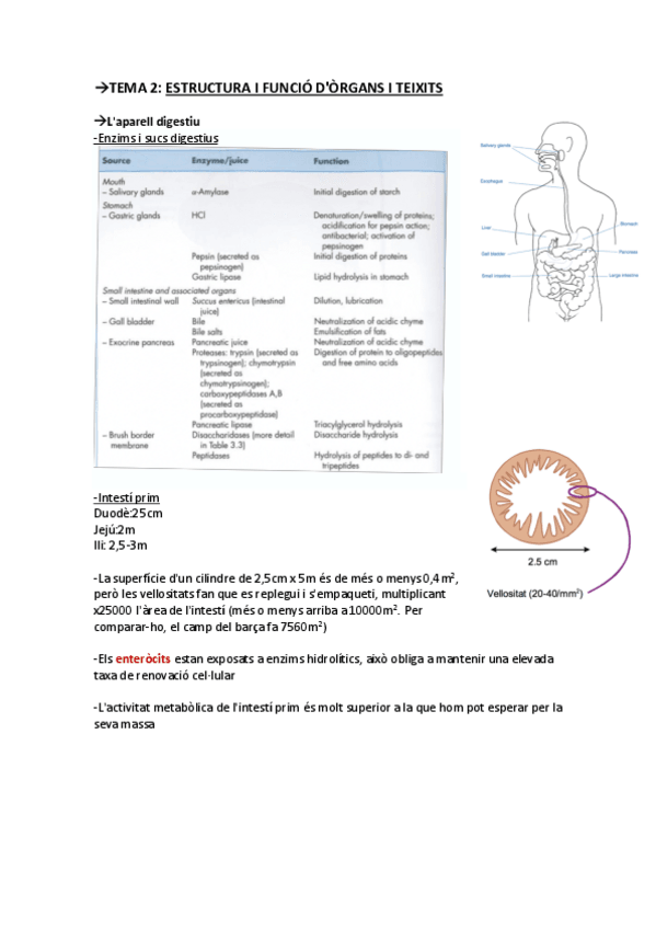 Miniatura del documento TEMA 2 pdf.pdf