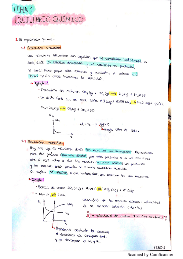 Miniatura del documento equilibrio químico.pdf