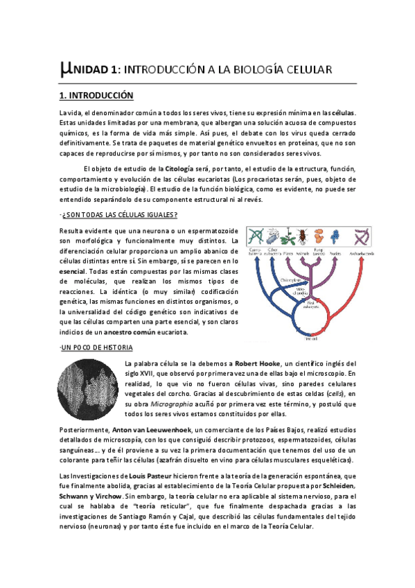 Miniatura del documento Unidad 1. Introducción a la Biología Celular.pdf
