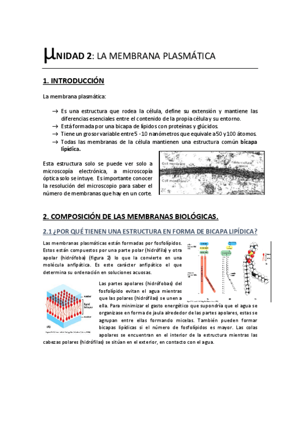 Miniatura del documento Unidad 2. La Membrana Plasmática.pdf