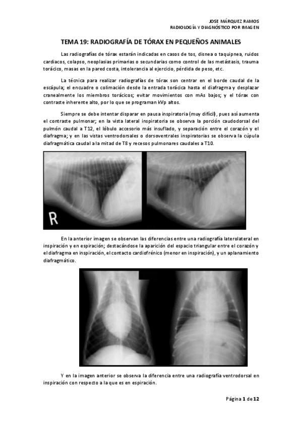 Miniatura del documento TEMA 19 RADIOGRAFÍA DE TÓRAX EN PEQUEÑOS ANIMALES.pdf