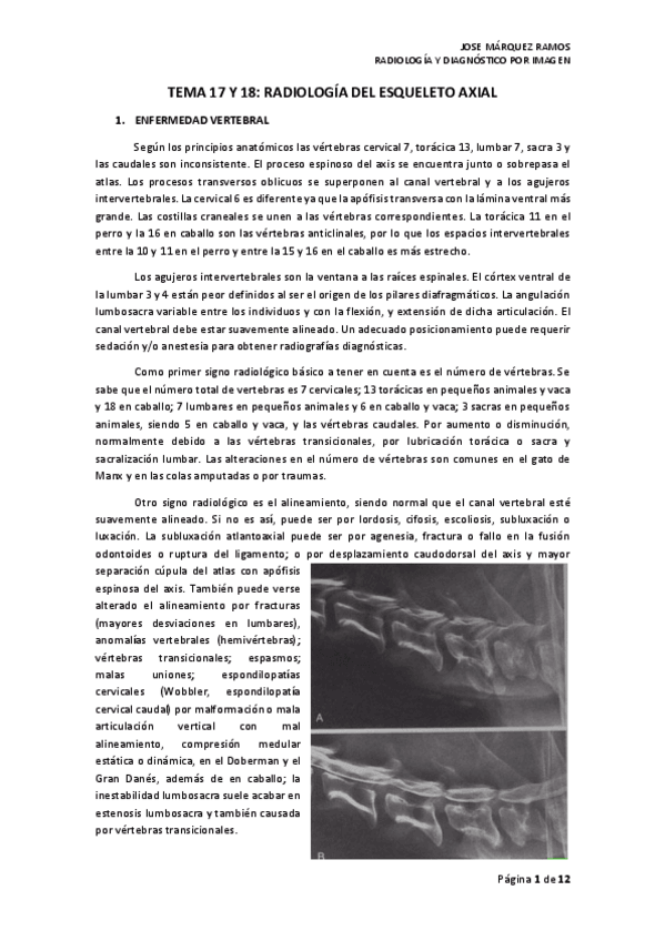 Miniatura del documento TEMA 17 Y 18 RADIOLOGÍA DEL ESQUELETO AXIAL.pdf