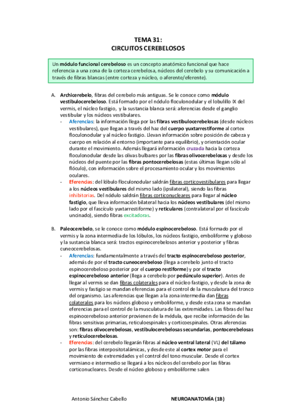 Miniatura del documento (31) Circuitos cerebelosos.pdf