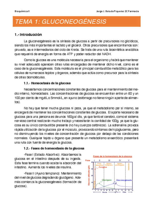 Miniatura del documento Bioquimica II.pdf