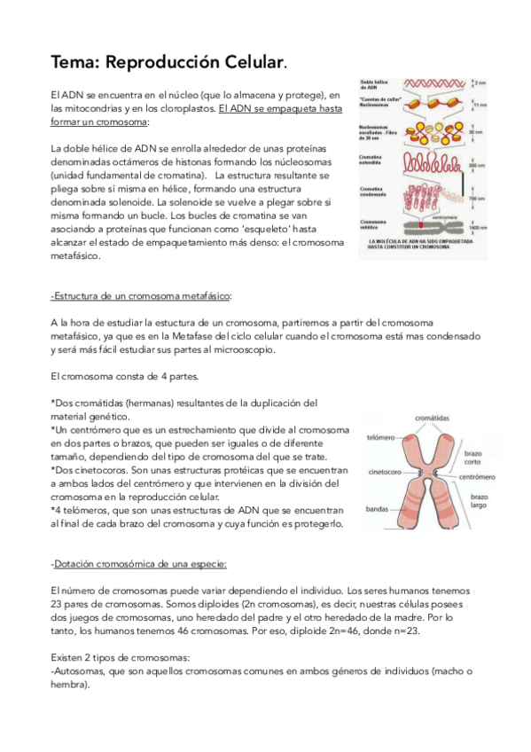 Miniatura del documento En blanco 9.pdf