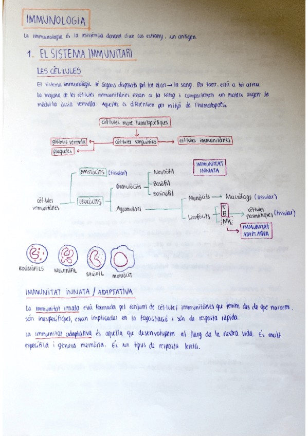 Miniatura del documento Immunologia.pdf