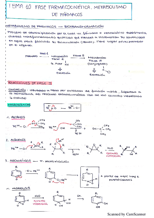 Miniatura del documento TEMA 10 Q.F-II METABOLISMO.pdf