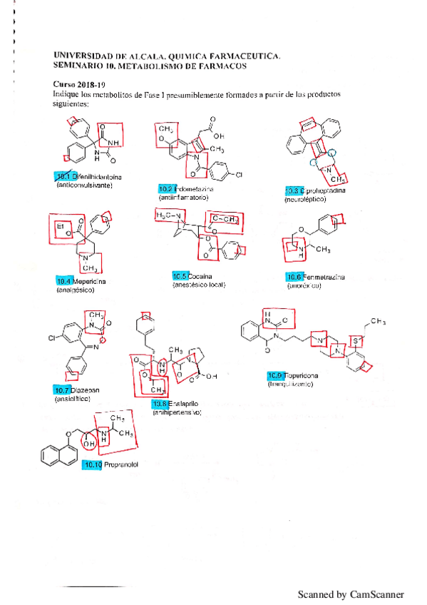 Miniatura del documento seminario metabolismo.pdf