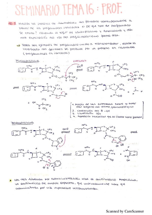 Miniatura del documento seminarios tema 16.pdf