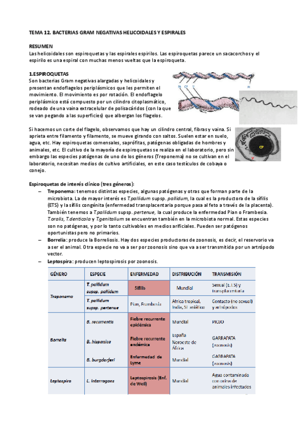 Miniatura del documento Tema12..pdf