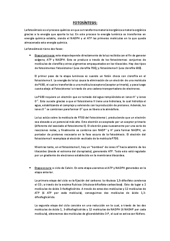 Miniatura del documento FOTOSÍNTESIS.pdf