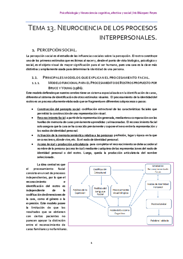 Miniatura del documento TEMA 13. NEUROCIENCIA DE LOS PROCESOS INTERPERSONALES.pdf