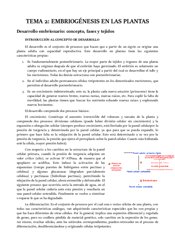 Miniatura del documento TEMA 2.pdf