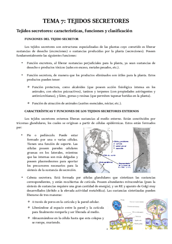 Miniatura del documento TEMA 7.pdf