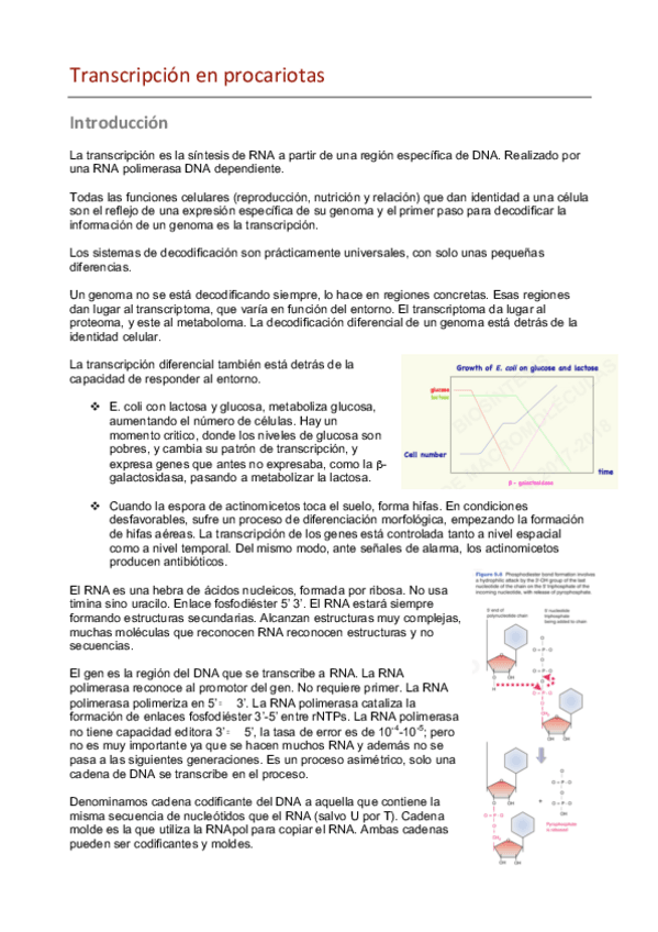 Miniatura del documento Transcripción.pdf