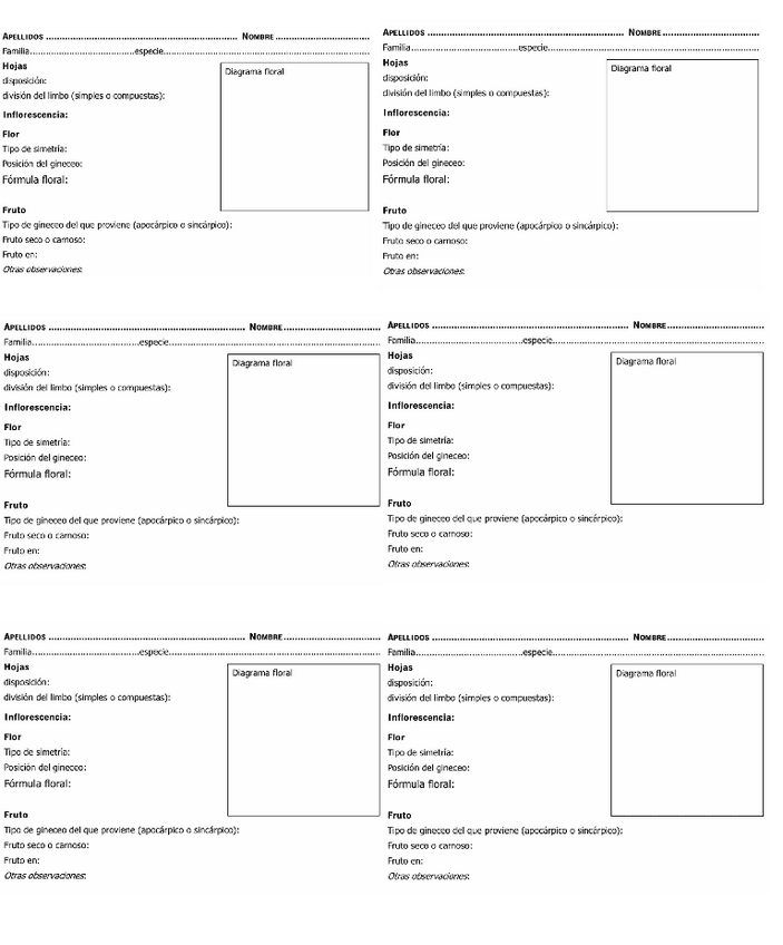 Miniatura del documento Plantilla para herbario .pdf