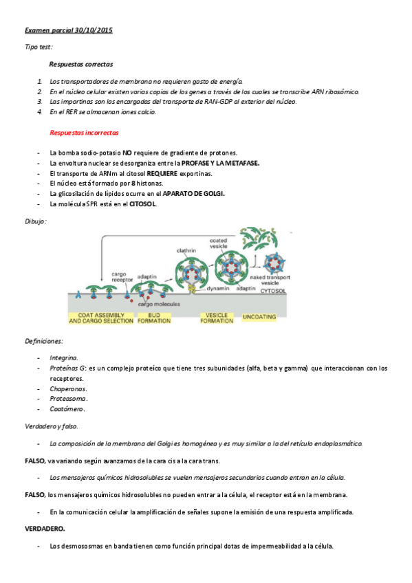 Miniatura del documento Examen parcial BCH1.pdf